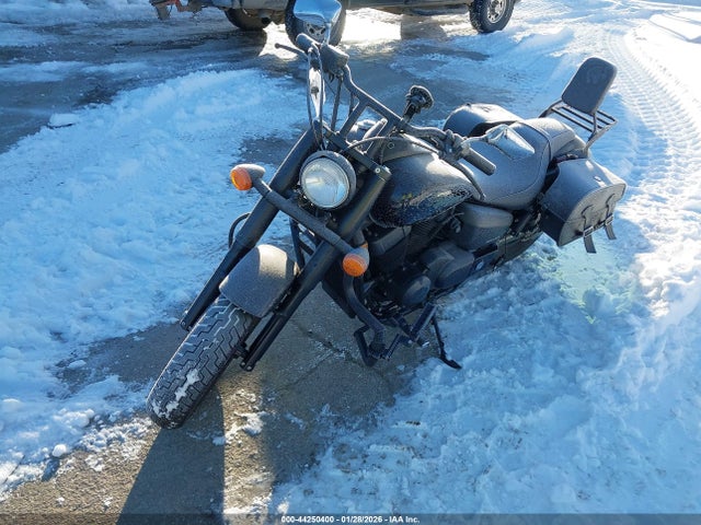 JH2RC5376LK100401 Honda Vt750 C2b