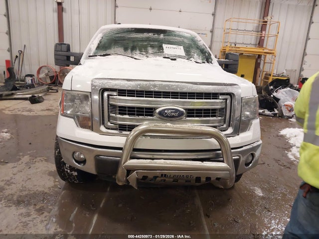 Aukcja sprzedaży 2014 Ford F-150 Xlt, vin: 1FTFW1EF1EKG14451, numer aukcji: 44250973