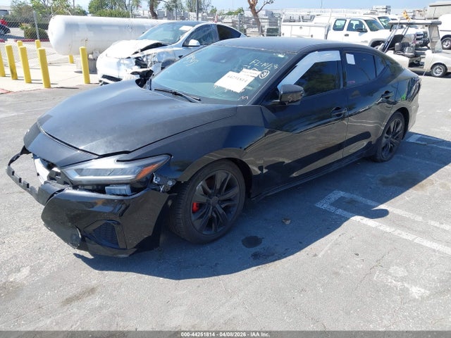 Nissan Maxima Sv Xtronic Cvt 2021 1N4AA6CV5MC515307 Image 2