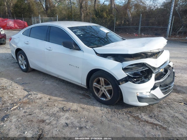 2019 1G1ZB5ST2KF157169 main image