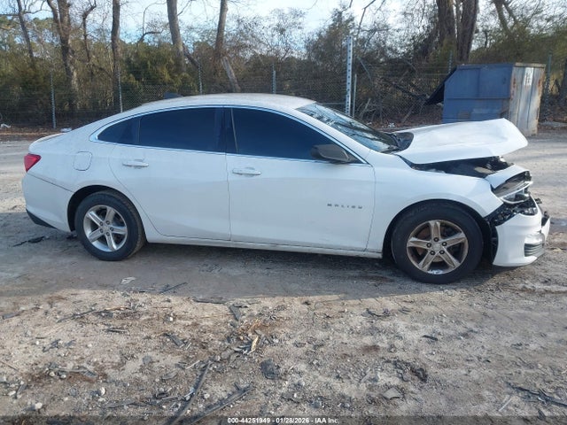Chevrolet Malibu 1ls 2019 1G1ZB5ST2KF157169 Image 13