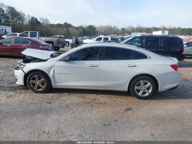 Chevrolet Malibu 1ls 2019 1G1ZB5ST2KF157169 Image 14