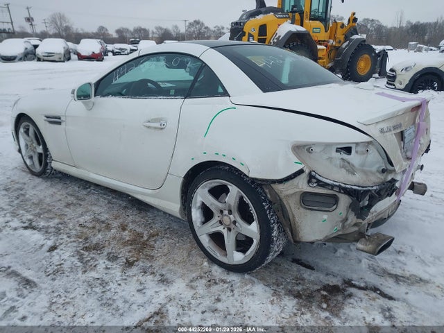 2015 MERCEDES-BENZ SLK 250 WDDPK4HA5FF099620 Photo 2