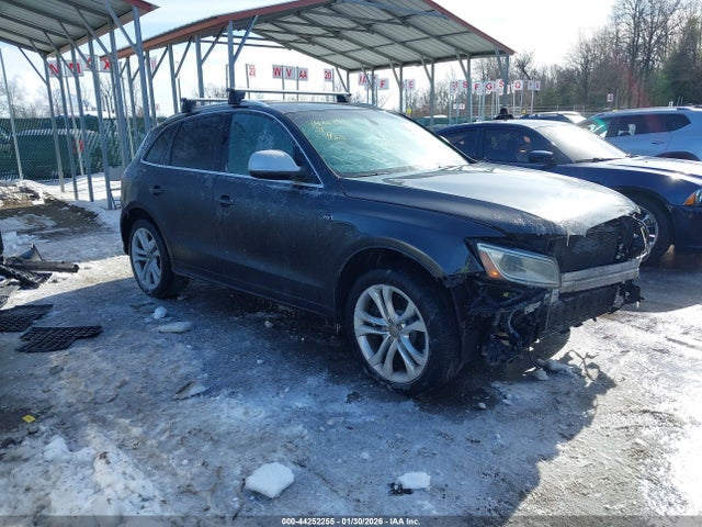 2014 AUDI SQ5 WA1CGAFPXEA065064