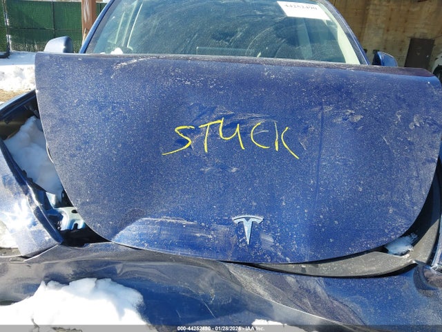 2024 TESLA MODEL Y 7SAYGDEEXRF168191 Photo 9