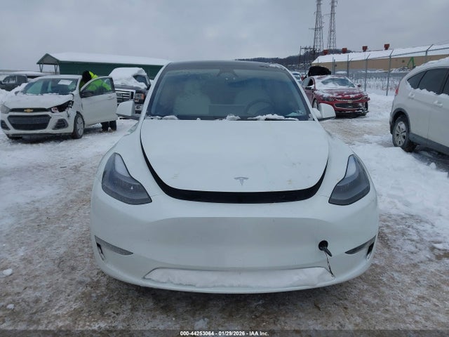 Продаж на аукціоні авто 2023 Tesla Model Y Awd/long Range Dual Motor All-wheel Drive, vin: 7SAYGDEE7PF803249, номер лоту: 44253064