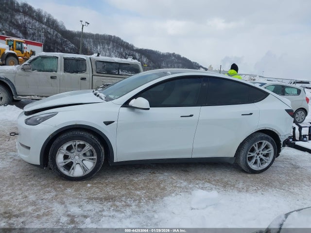 Продаж на аукціоні авто 2023 Tesla Model Y Awd/long Range Dual Motor All-wheel Drive, vin: 7SAYGDEE7PF803249, номер лоту: 44253064