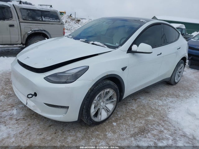 2023 TESLA MODEL Y 7SAYGDEE7PF803249 Photo 1