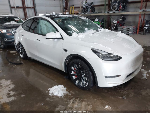 2021 TESLA MODEL Y 5YJYGDEE5MF242039 Photo 0