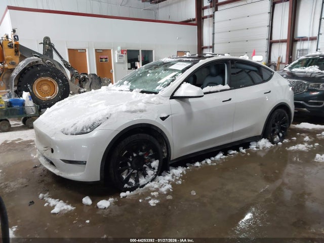 2021 TESLA MODEL Y 5YJYGDEE5MF242039 Photo 1