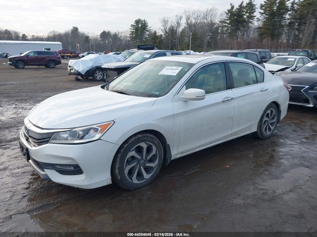 1HGCR2F80GA056568 Honda Accord Ex-l