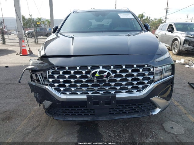 Hyundai Santa Fe Sel 2023 5NMS34AJ8PH614142 Image 12
