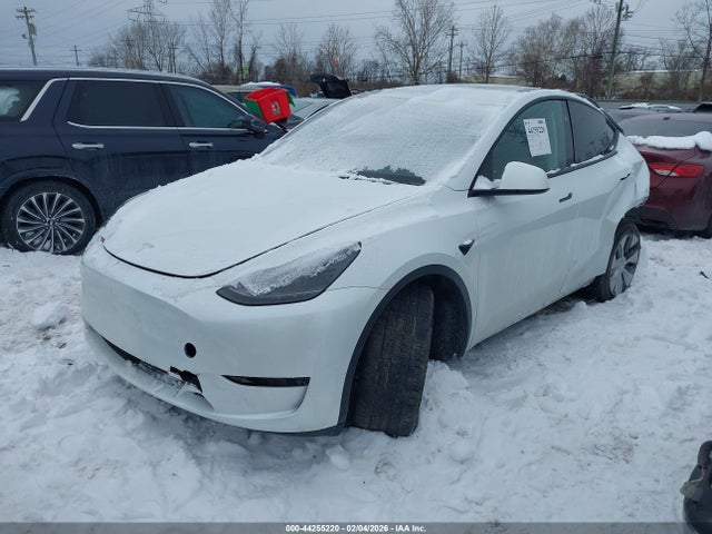 2023 TESLA MODEL Y 7SAYGDEE5PF793661 Photo 1