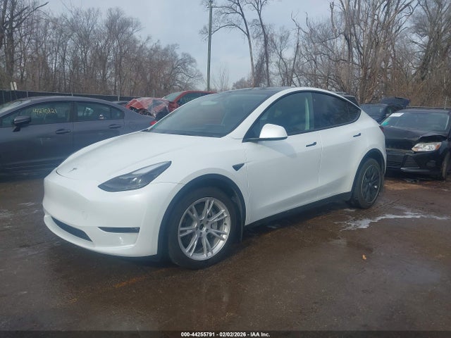 2023 TESLA MODEL Y 7SAYGAEE2PF779988 Photo 1