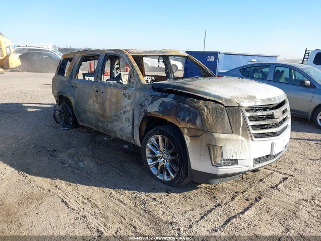 2020 CADILLAC ESCALADE 1GYS4BKJ9LR162332 Photo 0