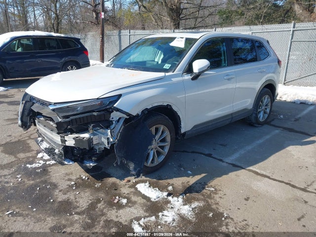 2024 HONDA CR-V 2HKRS4H40RH467273 Photo 1