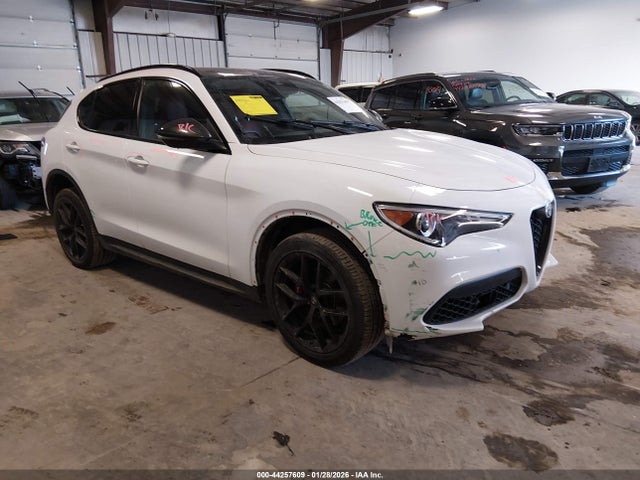 2019 ALFA ROMEO STELVIO ZASPAKBN3K7C37244