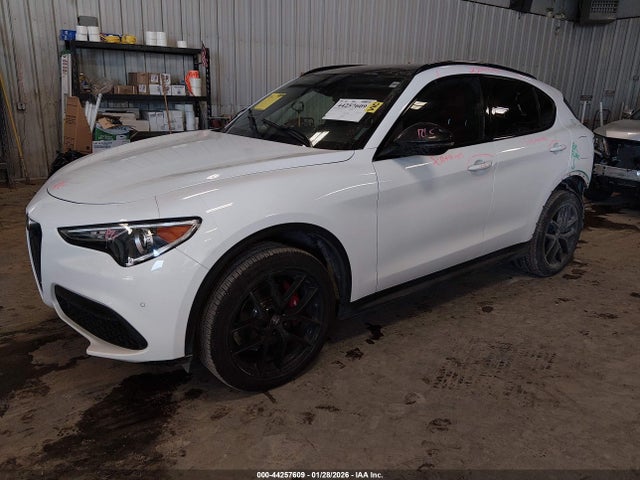 2019 ALFA ROMEO STELVIO ZASPAKBN3K7C37244 Photo 1