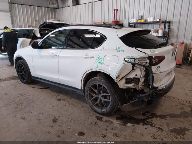 2019 ALFA ROMEO STELVIO ZASPAKBN3K7C37244 Photo 2