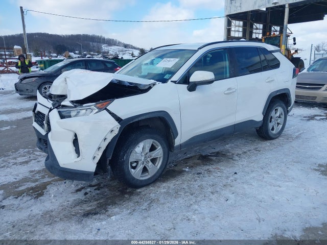 2020 TOYOTA RAV4 2T3P1RFV6LC091182 Photo 1