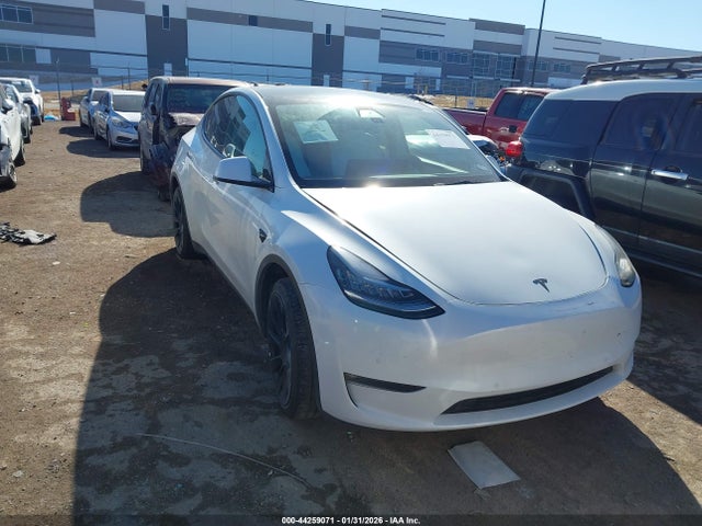 2022 TESLA MODEL Y 7SAYGDEEXNF356798 Photo 0