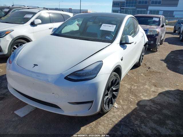 2022 TESLA MODEL Y 7SAYGDEEXNF356798 Photo 1