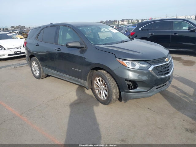 Chevrolet EQUINOX LS 2019 2GNAXHEV3K6280470 головне зображення