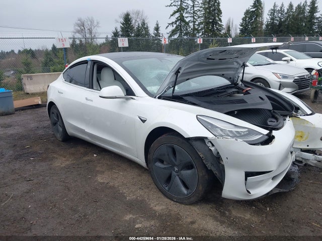 2019 TESLA MODEL 3 5YJ3E1EB6KF406819