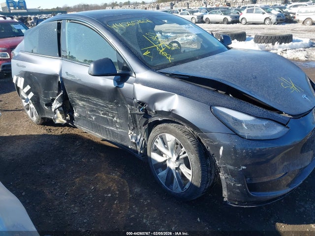 2024 TESLA MODEL Y 7SAYGDEEXRA231352 Photo 5