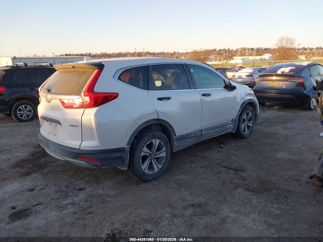 Honda CR-V LX 2019 2HKRW6H33KH216096 Image 4