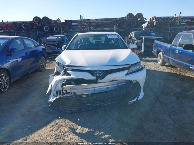 4T1C11AK8LU974236 Toyota CAMRY LE