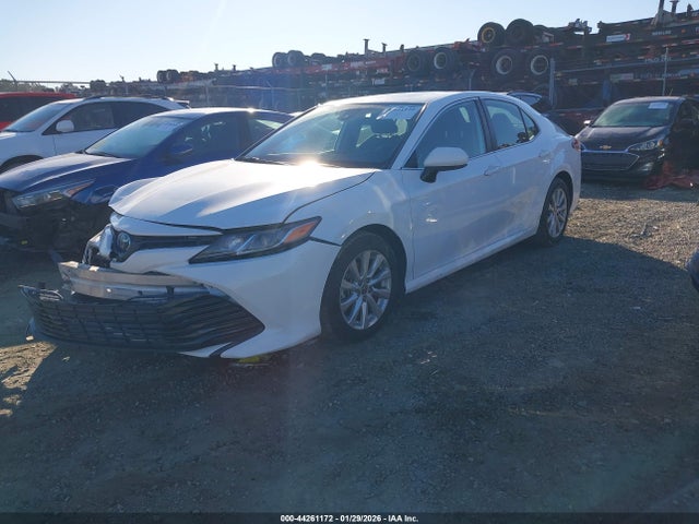 4T1C11AK8LU974236 Toyota CAMRY LE