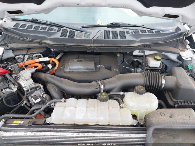 1FTFW1ED0NFC41037 Ford F-150 Xlt