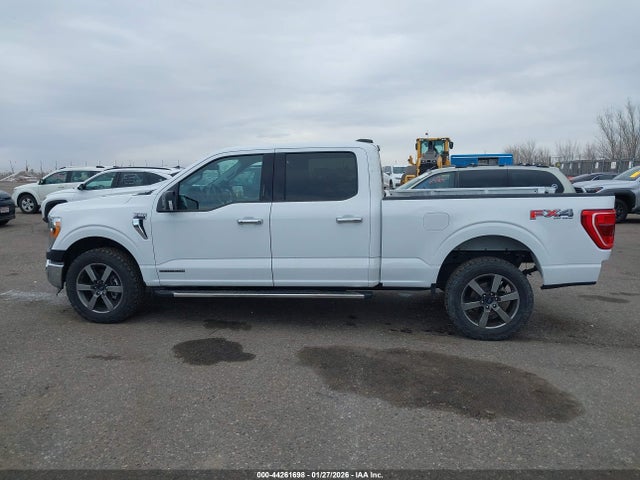 1FTFW1ED0NFC41037 Ford F-150 Xlt