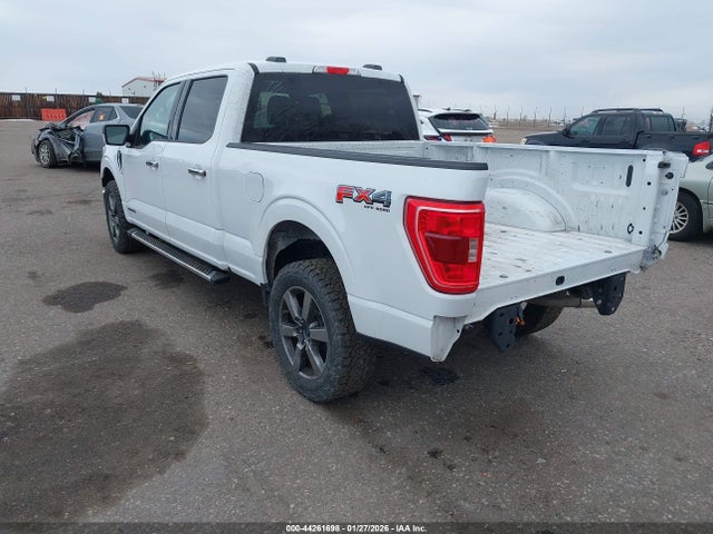 1FTFW1ED0NFC41037 Ford F-150 Xlt