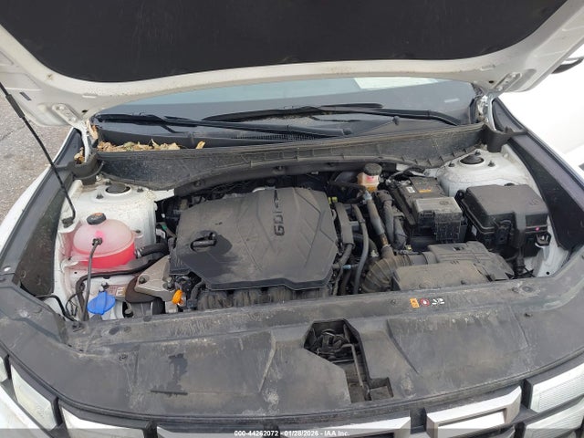 Продаж на аукціоні авто 2025 Hyundai Santa Cruz Sel Activity, vin: 5NTJCDDE2SH126702, номер лоту: 44262072