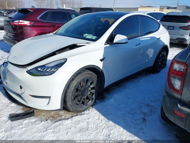 2022 TESLA MODEL Y 7SAYGDEE6NF386977 Photo 1