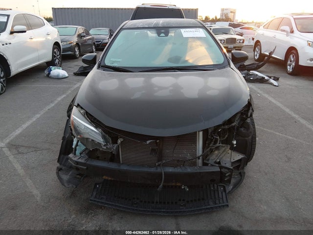 2T1BURHE2KC156146 Toyota COROLLA LE