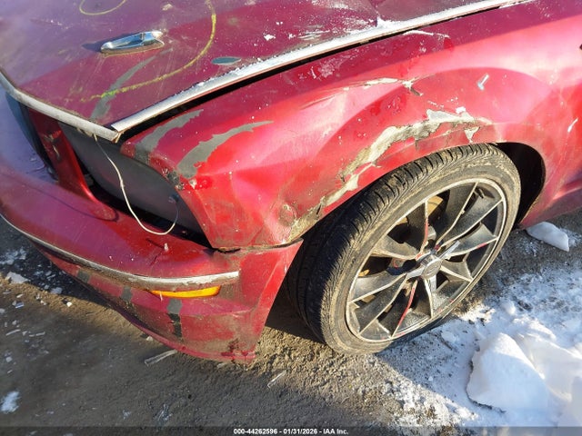 2007 FORD MUSTANG 1ZVHT85H875275973 Photo 5