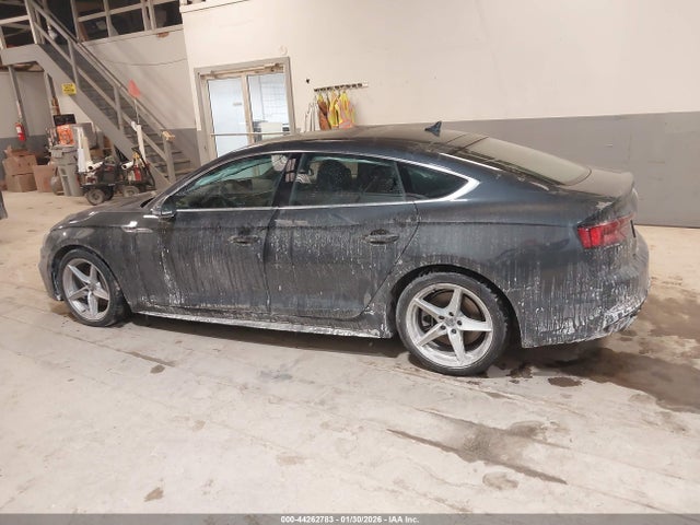 44262783 :رقم المزاد ، WAUENCF59KA069856 vin ، 2019 Audi A5 45 Premium مزاد بيع