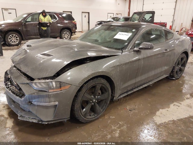2023 FORD MUSTANG 1FA6P8TH5P5106503 Photo 1