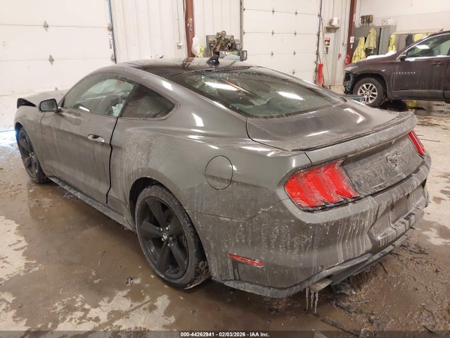 2023 FORD MUSTANG 1FA6P8TH5P5106503 Photo 2