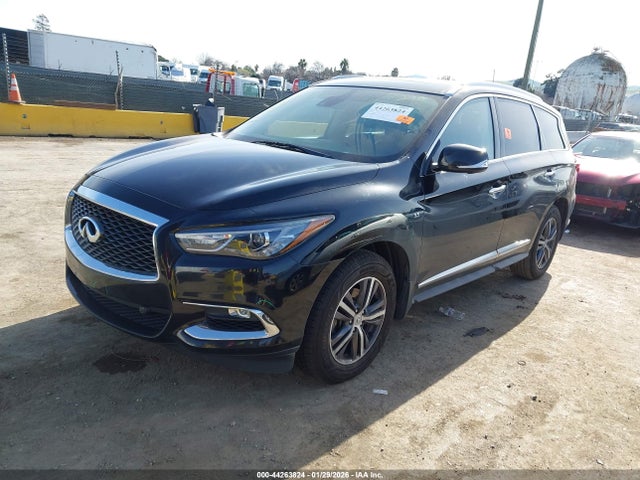 5N1DL0MN5KC557210 Infiniti QX60 LUXE