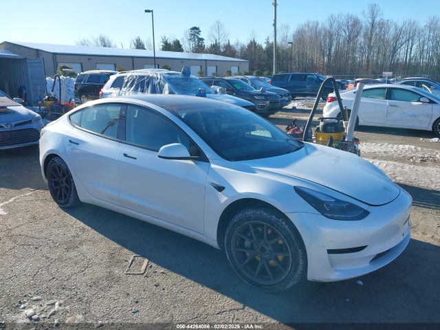 2023 TESLA MODEL 3 5YJ3E1EA5PF544446 Photo 0