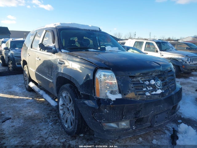 2010 CADILLAC ESCALADE 1GYUKCEF1AR258108