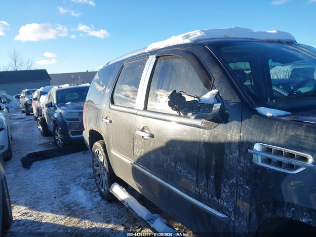 2010 Cadillac Escalade Premium მანქანა იყიდება აუქციონზე, vin: 1GYUKCEF1AR258108, აუქციონის ნომერი: 44264877