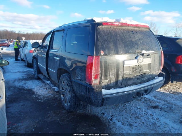 2010 CADILLAC ESCALADE 1GYUKCEF1AR258108 Photo 2