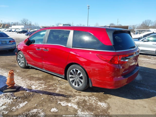 2024 HONDA ODYSSEY 5FNRL6H66RB045341 Photo 2