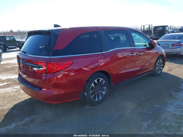 2024 HONDA ODYSSEY 5FNRL6H66RB045341 Photo 3
