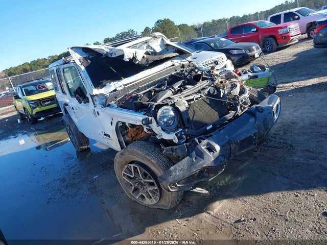 2025 JEEP WRANGLER 1C4PJXEN1SW528333